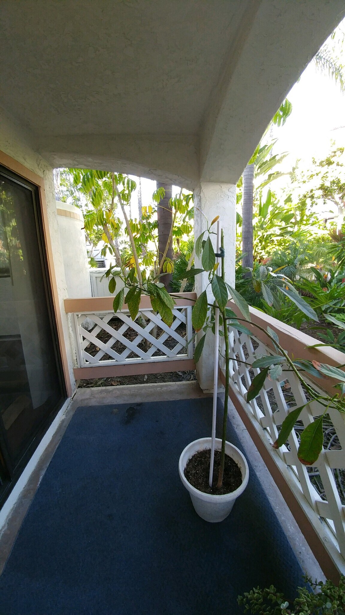 Building Photo - 9459 Fairgrove Ln
