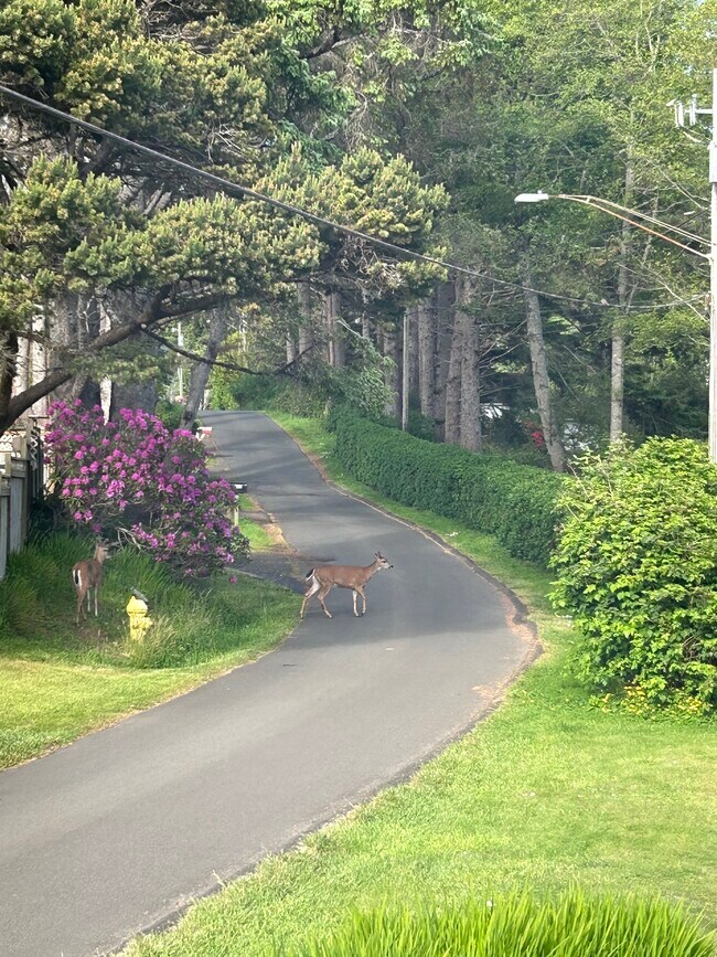 View from kitchen door - 1554 NW 35th Pl