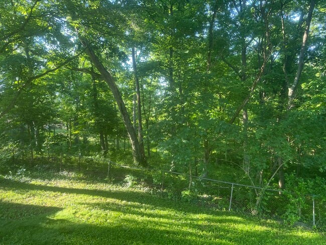 Building Photo - 801 Rosetree Ln