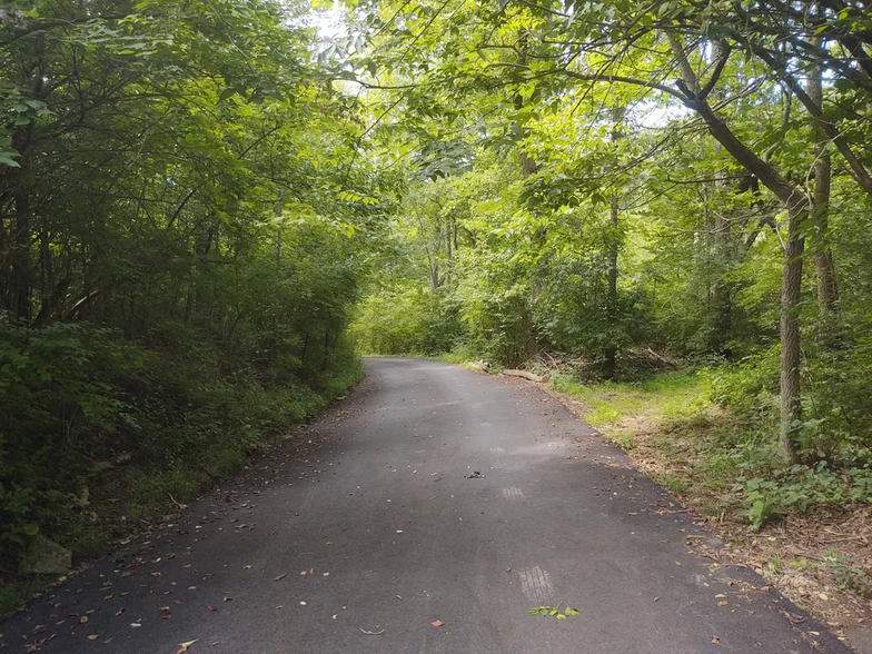 Private wooded drive. - 7923 Old 3C Hwy