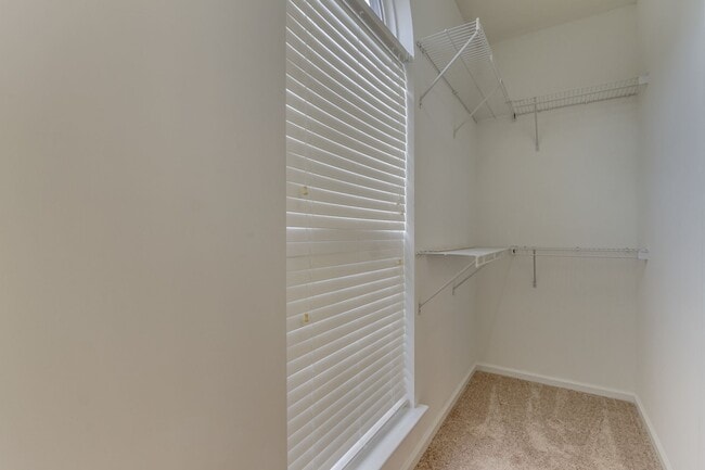 Building Photo - Available Now - East Tuscaloosa