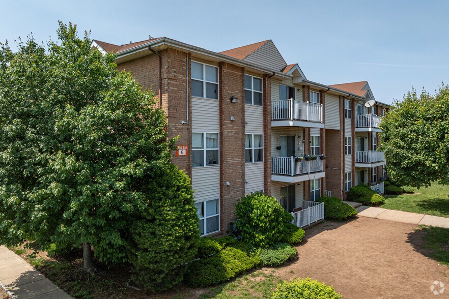 Primary Photo - Forest View