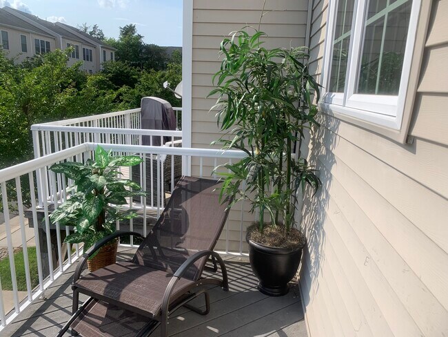 Building Photo - 25128 Neptune Terrace