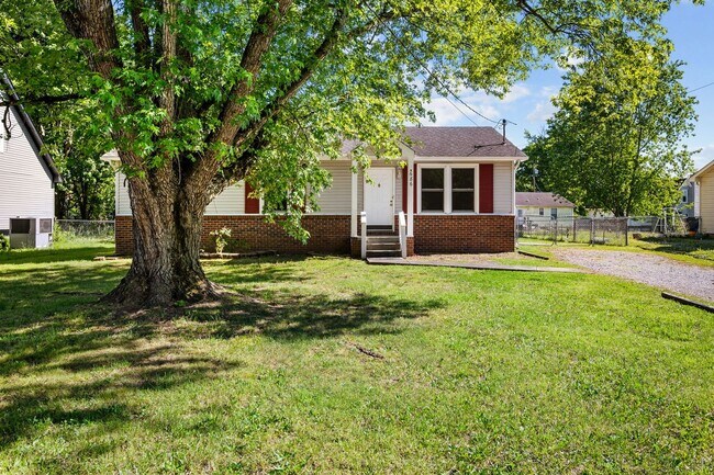 Building Photo - Spacious Yard + Fresh Interior Updates!