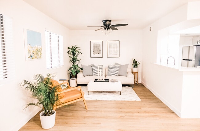 Building Photo - Haven Rio