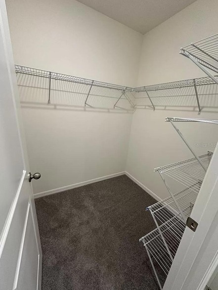 Building Photo - 299 Mangrove Shade Cir