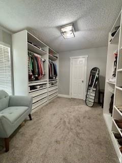 Building Photo - 4633 Archer Dr