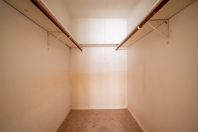 Building Photo - 4031 Curly Oaks Dr