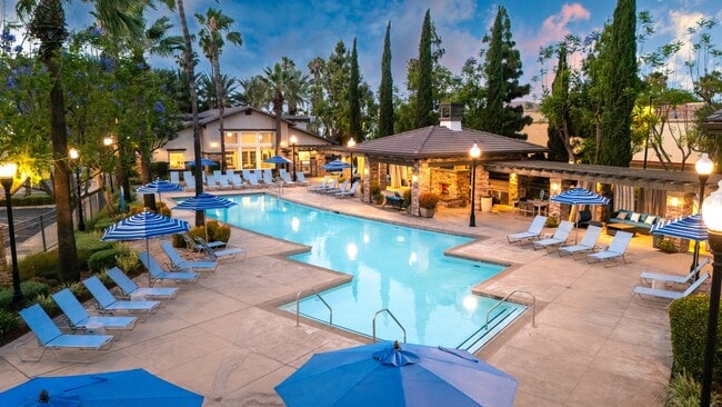 Primary Photo - The Grove Apartments