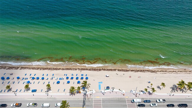 Building Photo - 401 N Birch Rd