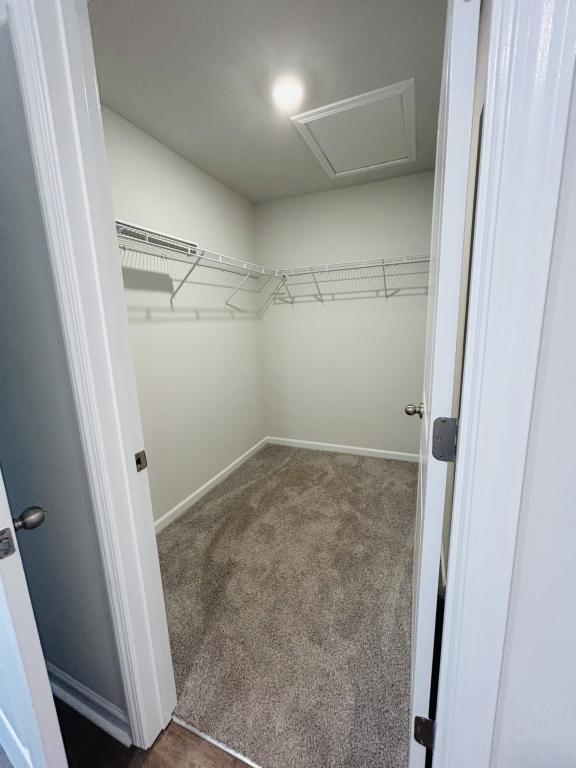 Building Photo - 2157 Grande Palms Trl