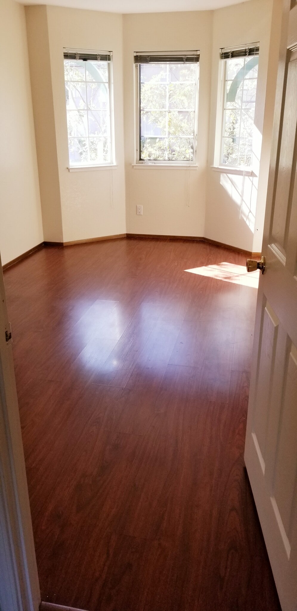 Building Photo - 1520 Adeline St