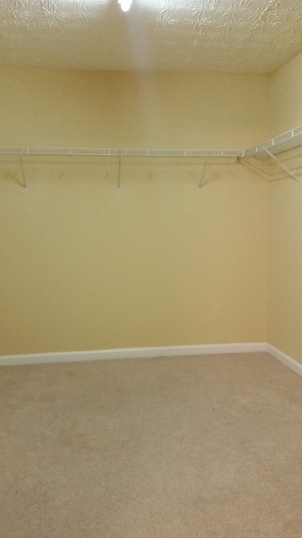 Building Photo - Swim Community - 4bd x 2 1/2bth w/2 Car Ga...