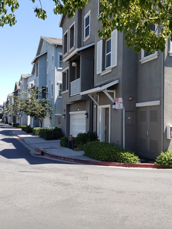 Building Photo - 1319 De Altura Common