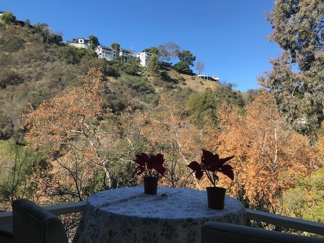 Building Photo - 2252 Laurel Canyon Blvd