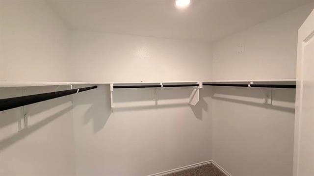 Building Photo - 8440 Hollymead Ln