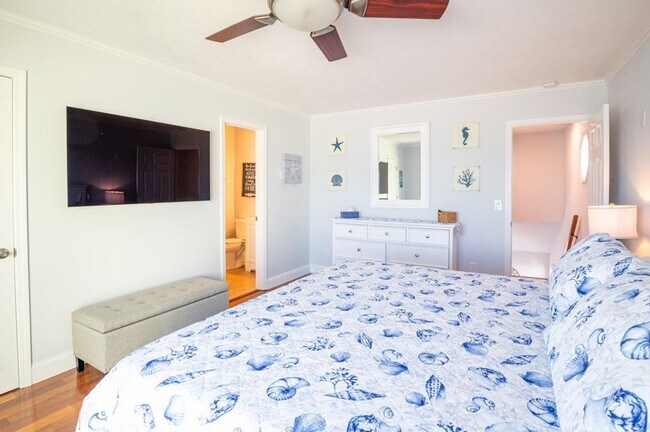 Building Photo - PERFECT OCEANFRONT WINTER WORK-FROM-HOME GETAWAY