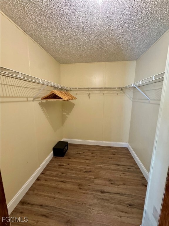 Building Photo - 369 Bald Cypress Ave