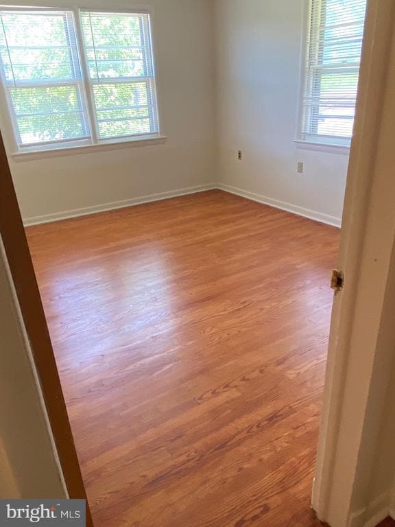 Building Photo - 5507 Sachem Dr