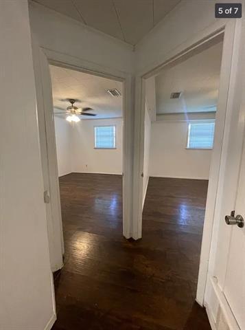 Building Photo - 403 Live Oak St