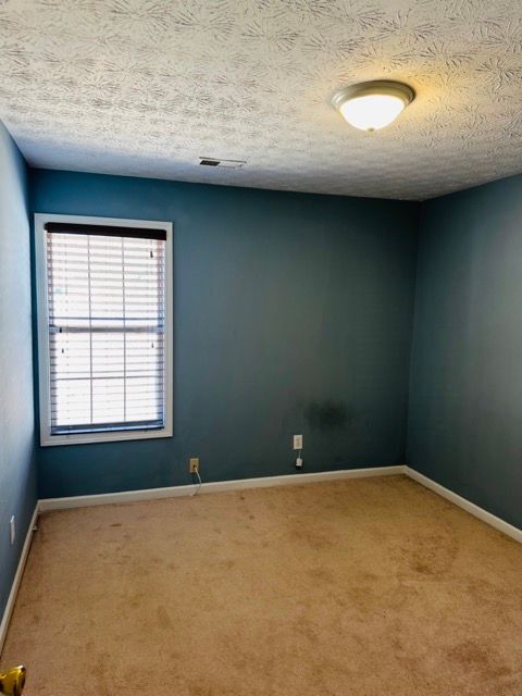 Building Photo - 375 Shadetree Ln
