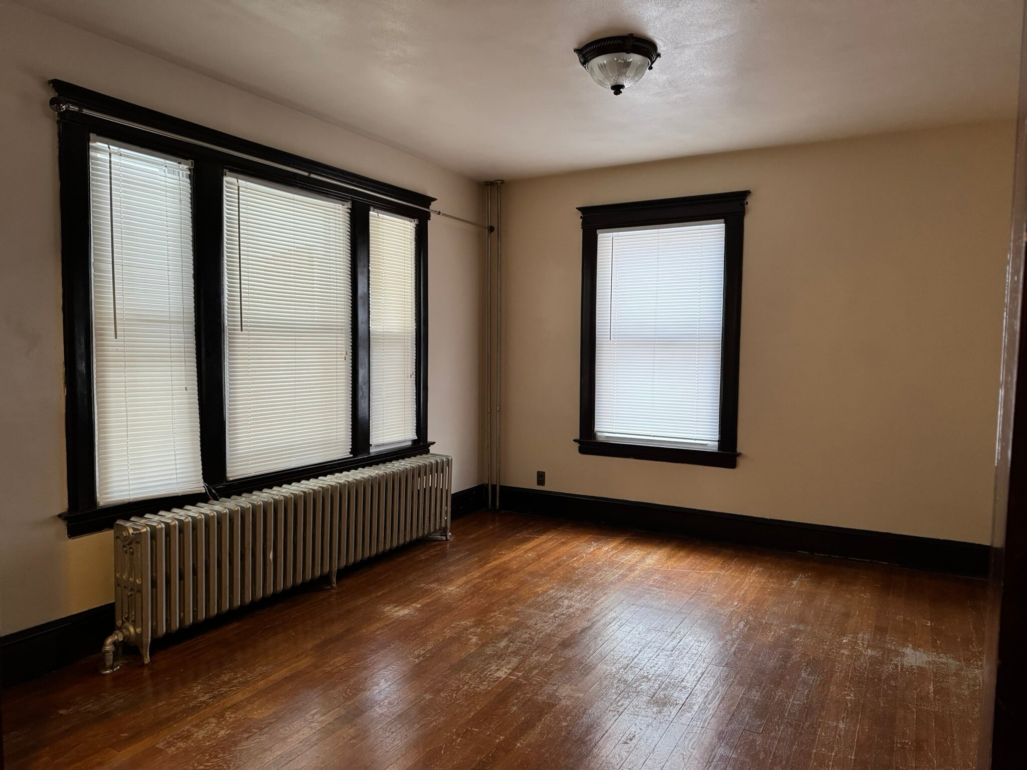 Building Photo - 37 Mountford St