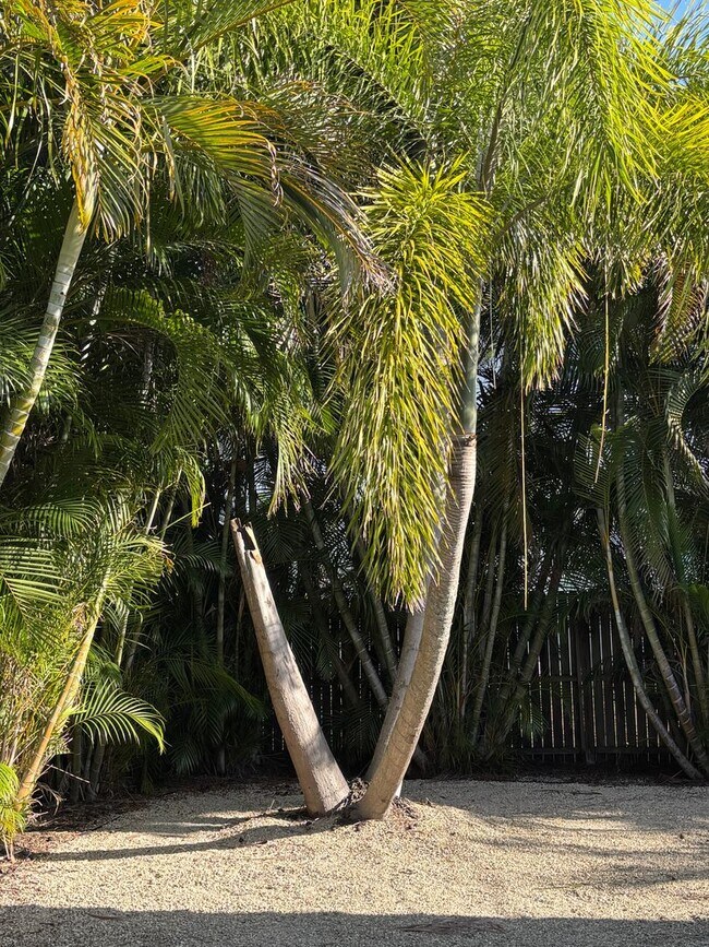 Building Photo - For Rent in Southgate