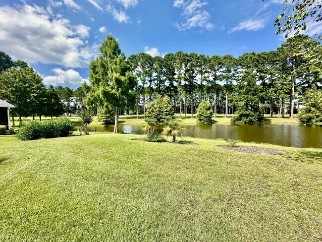 Building Photo - Large Beautifully Furnished Home in Sun City!
