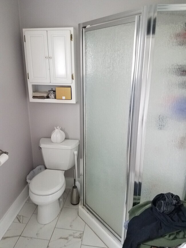 Master Shower - 224 S 14th St