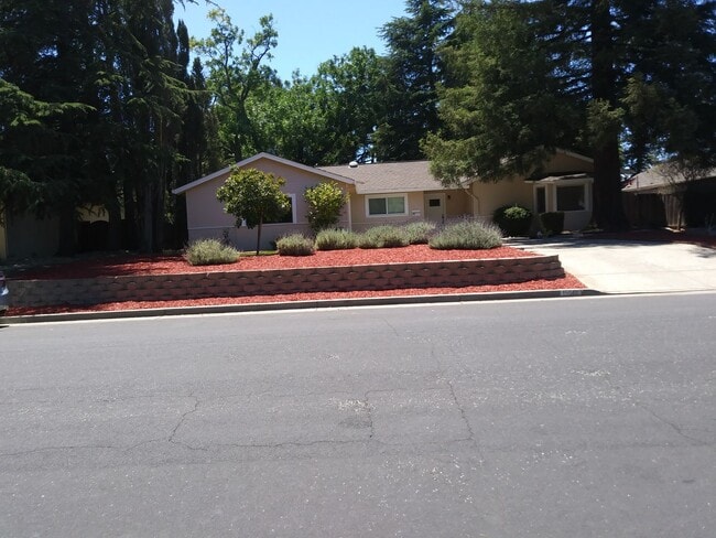Building Photo - Beautiful Los Gatos Home Minutes to Downto...