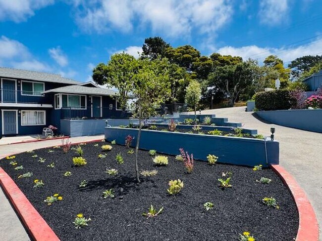 Building Photo - Beautiful Brand New Studio in ideal Monterey Sunbelt location