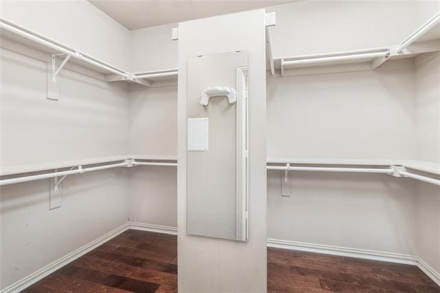 Building Photo - 3616 Timothy Dr