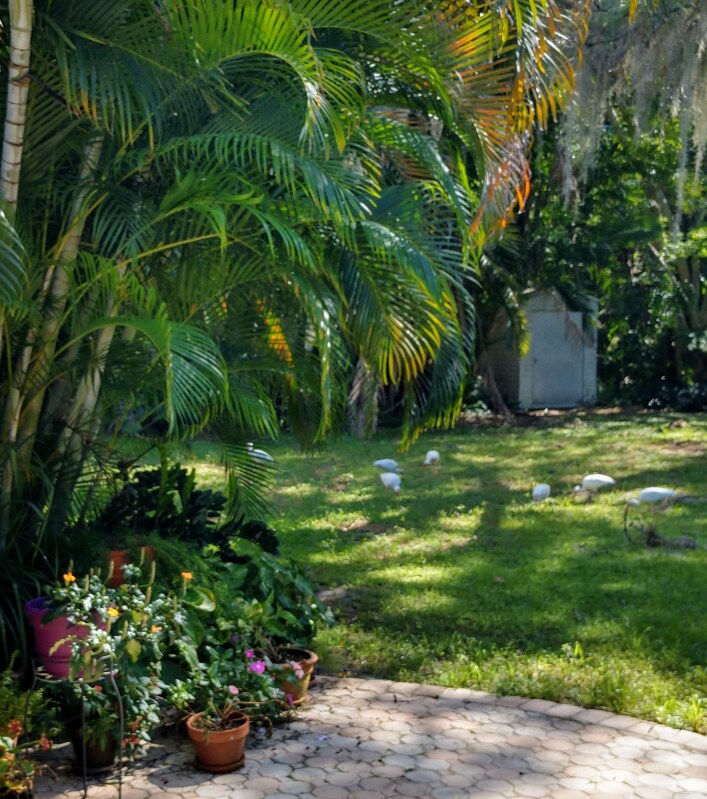 Building Photo - 1620 Manor Rd