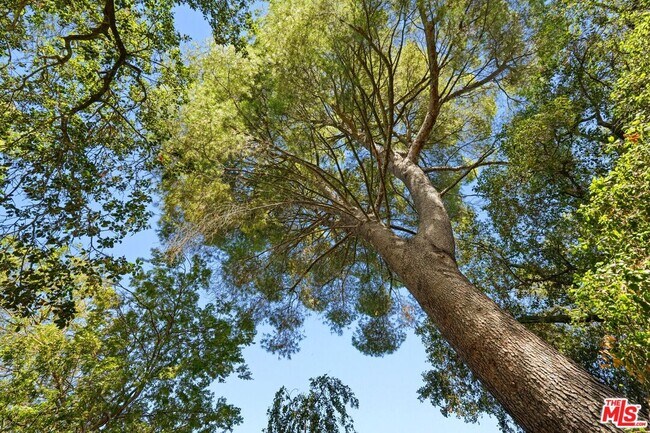 Building Photo - 21277 Entrada Rd