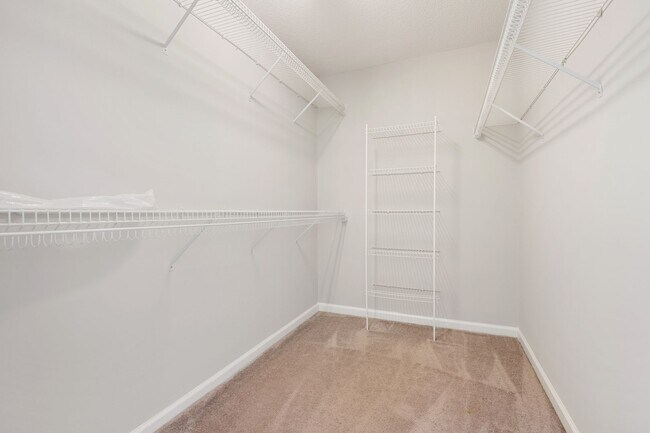 Building Photo - Single Family home in Hedingham: Available Now!