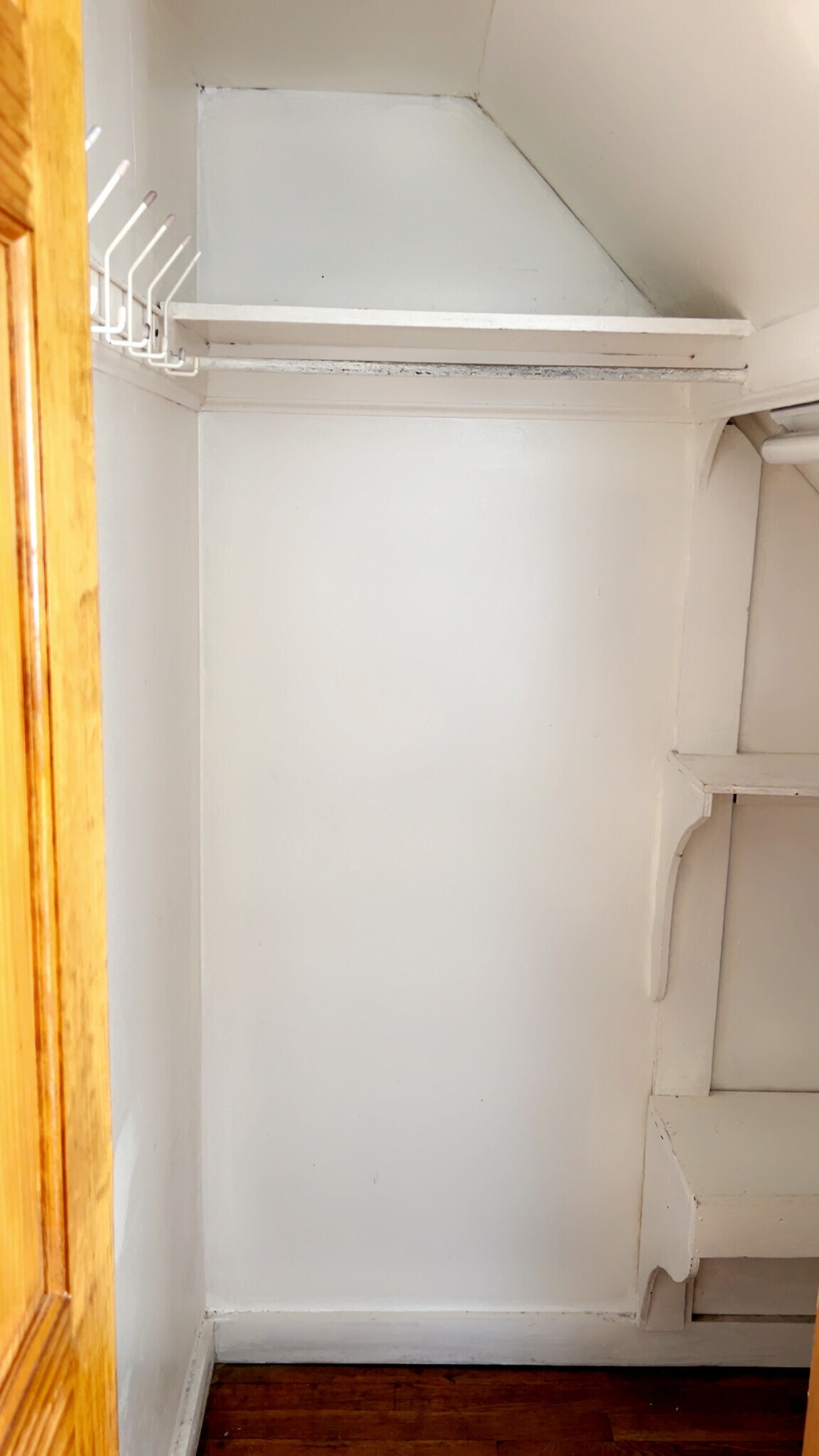downstairs coat/storage closet - 557 Linden Ave