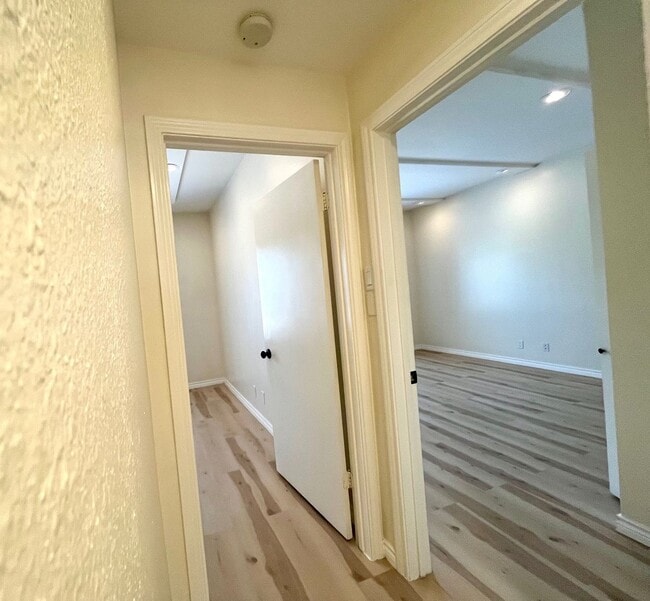 Building Photo - 2/1 Alamo Heights Condo ~ Freshly Remodele...