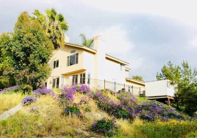 Building Photo - 601 Aliento Ct