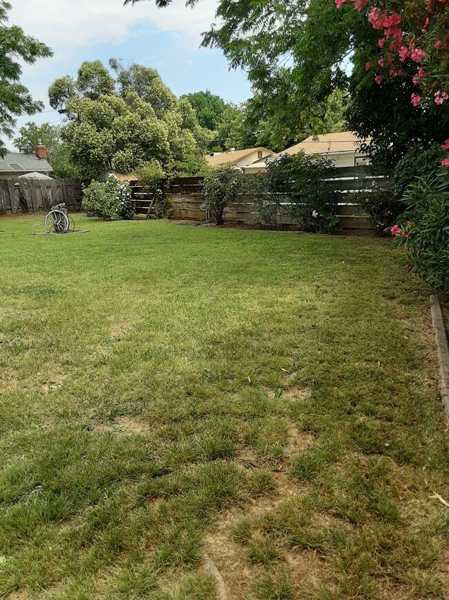 Building Photo - 1630 El Cerrito Dr