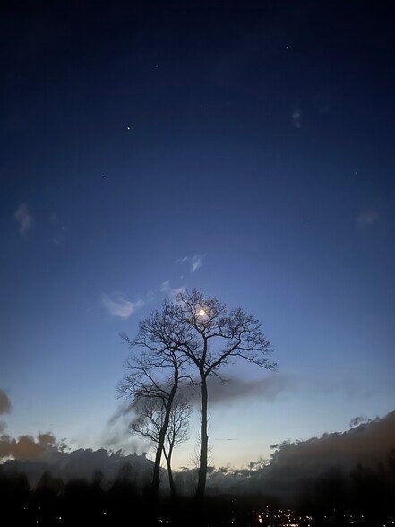 Stargazing from your doorstep: Clear mountain nights with minimal light pollution. - 405 Windswept Dr
