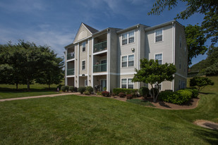 Building Photo - Shenandoah Commons