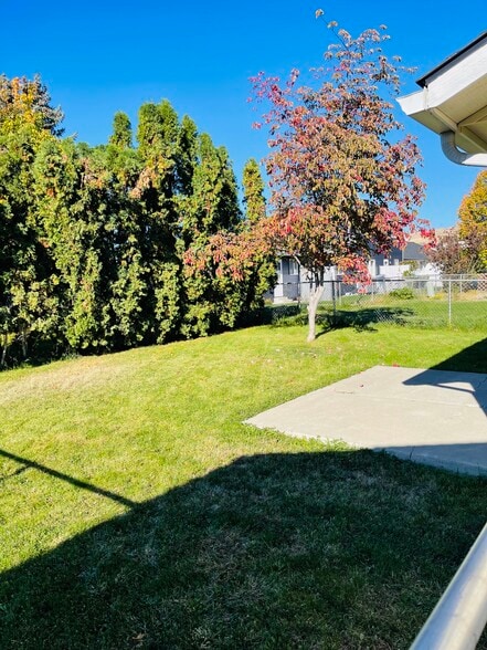 Back yard - 906 N 34th Ave
