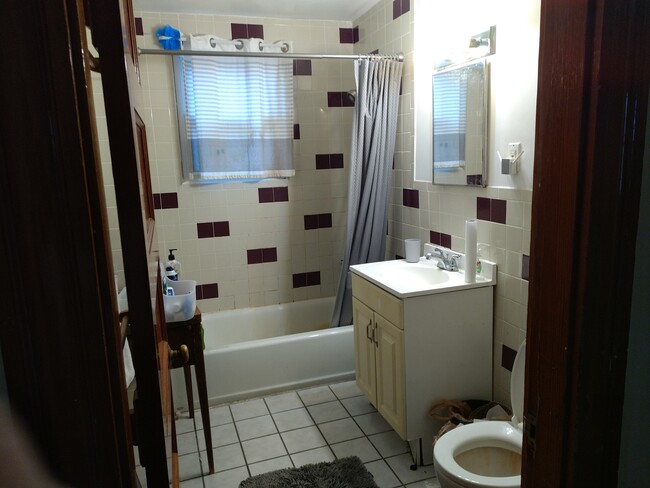 Bath Room Shower & Tub - 42 Bromfield Rd