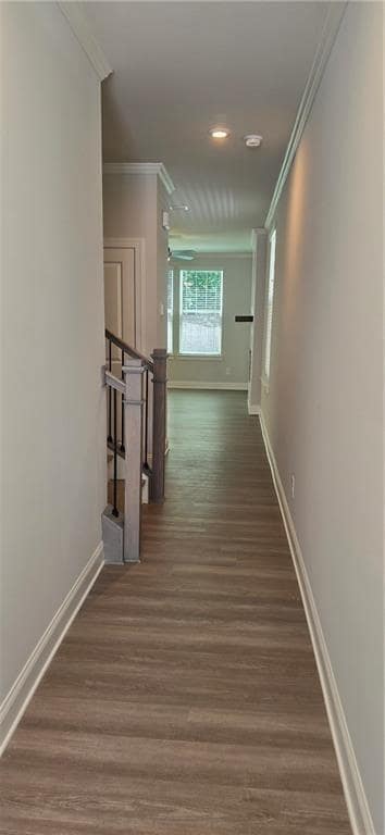Building Photo - 721 Stickley Oak Way