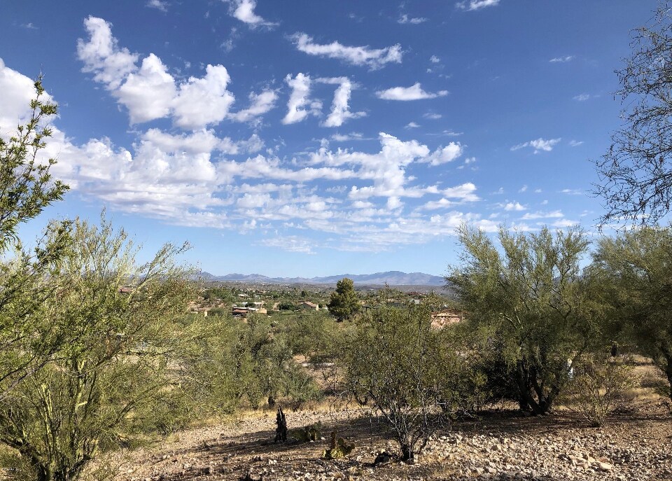 OUTDOORS VIEW 7 - 32731 W Jones Rd