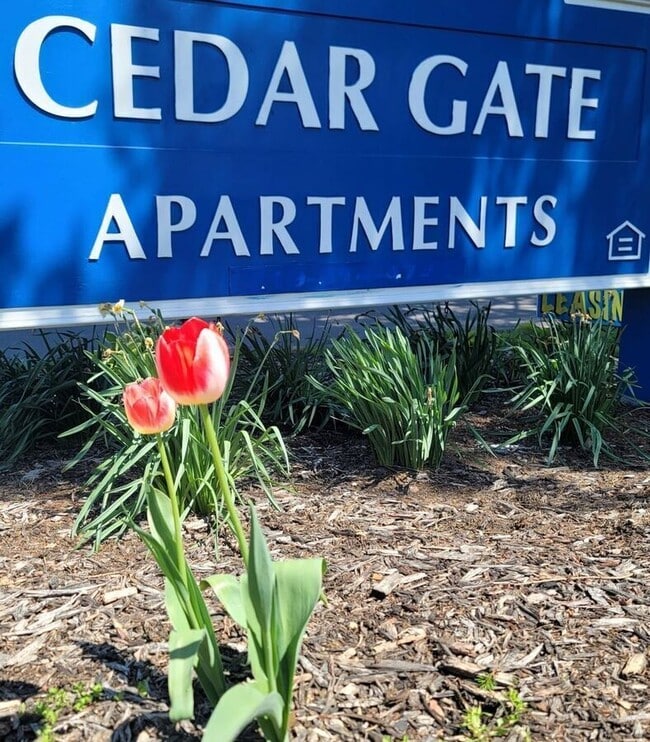 Building Photo - 771 Cedar Gate Ct