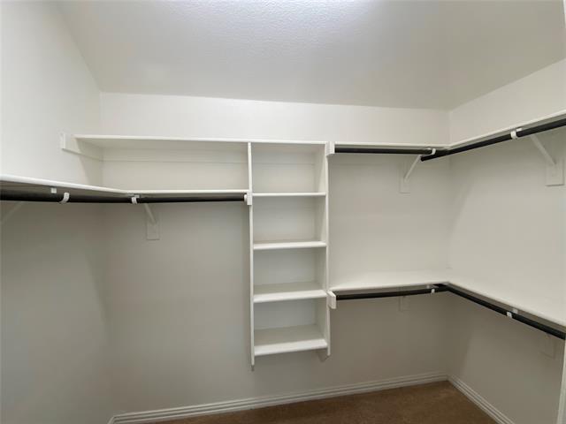 Building Photo - 7504 Innisbrook Ln