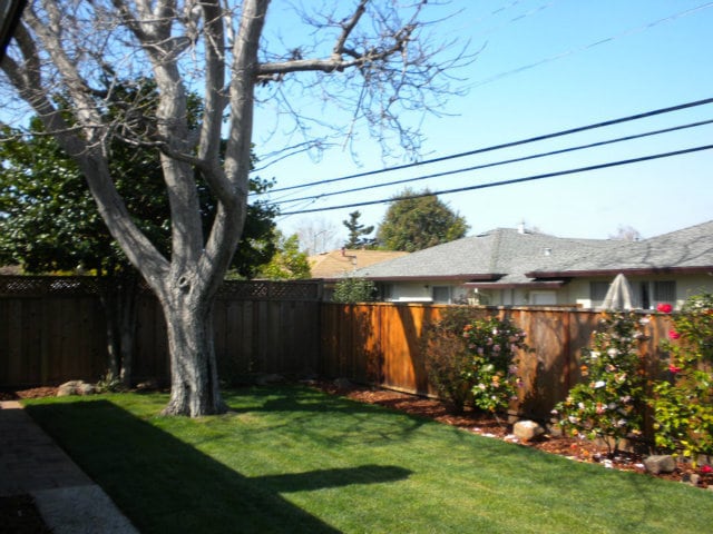 Backyard - 1577 Duvall Dr