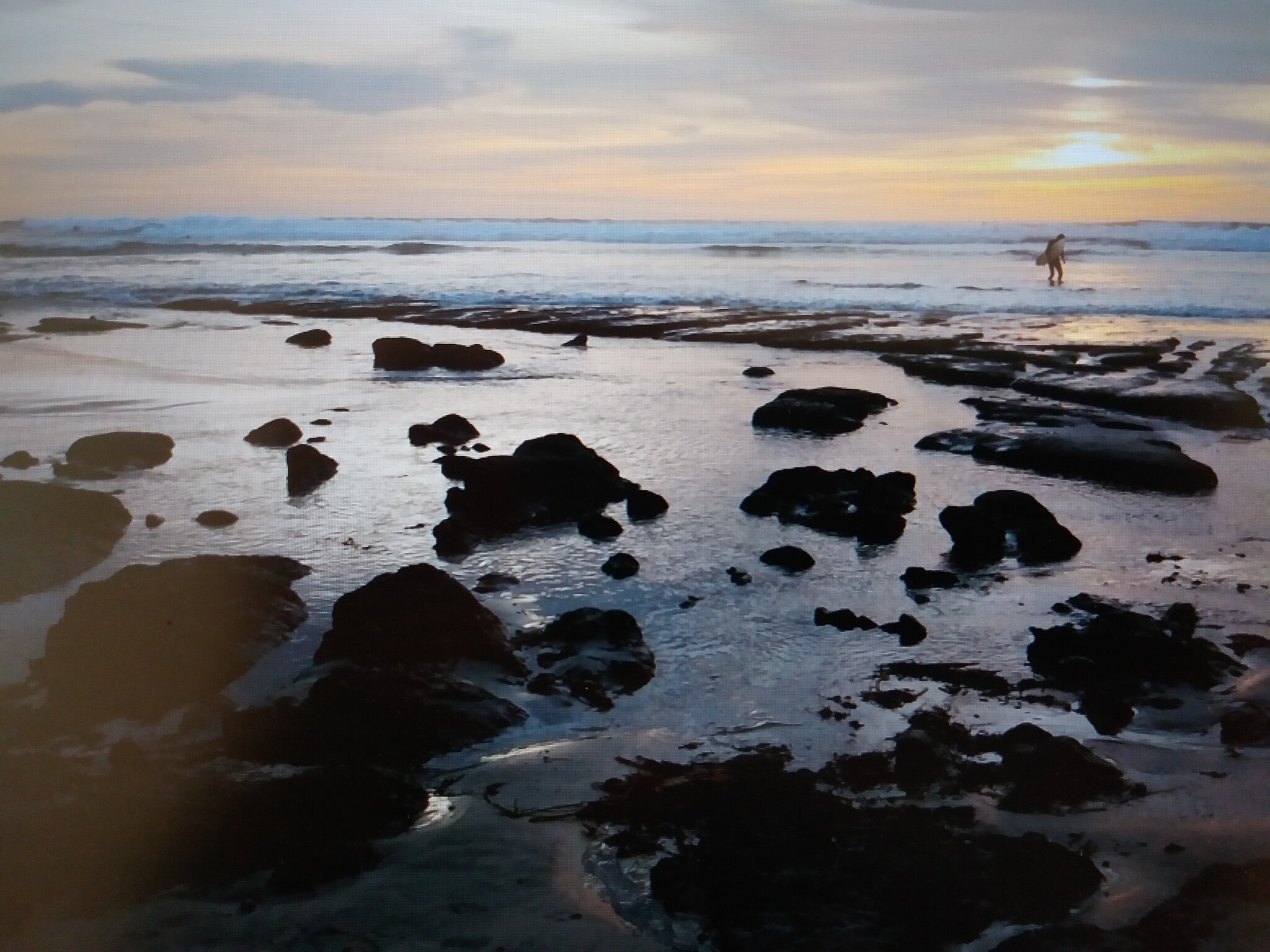 Building Photo - 775 Neptune Ave