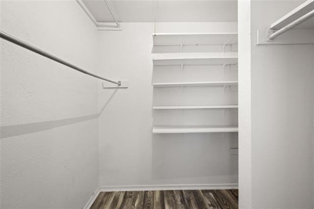 Building Photo - 465 Rainier St